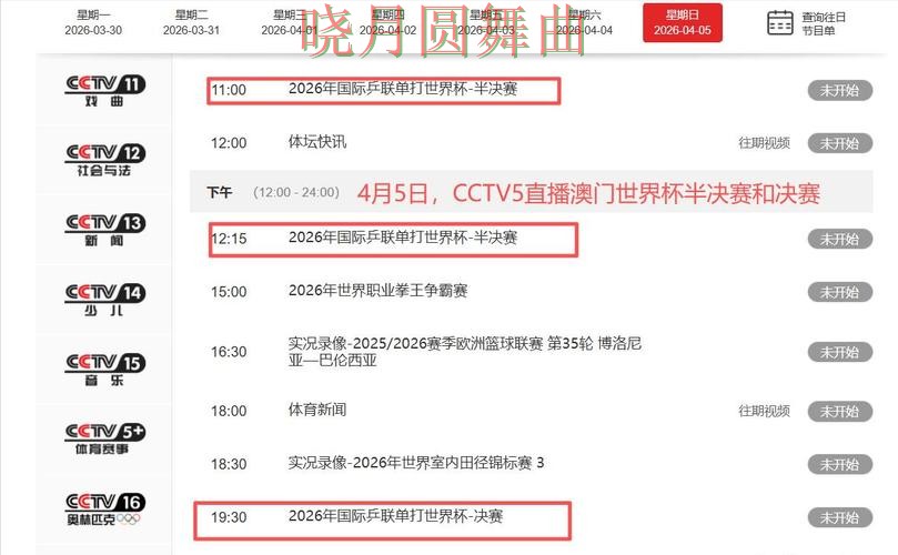 世界杯投注平台合集全面分析报告：直播入口+直播与实际体验总结 - 世界杯全球总决赛